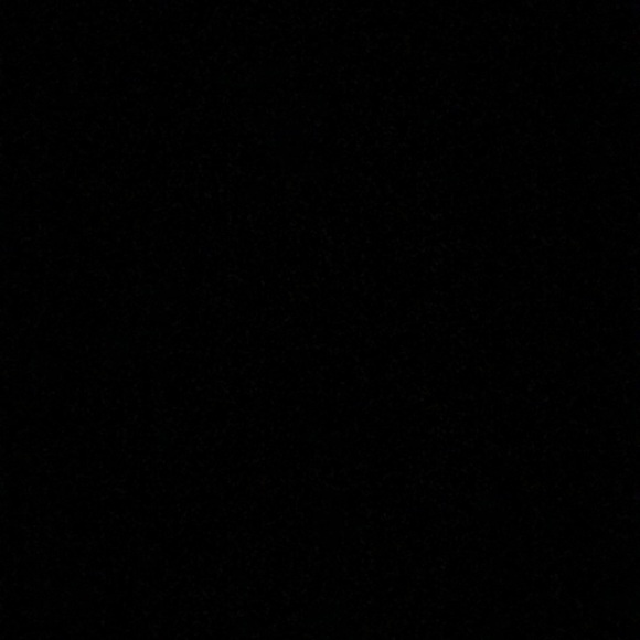 Meet your Posher, Paloma - Picture 1 of 1